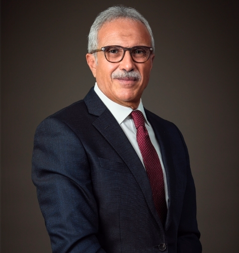Nasser El Din Aly Amer